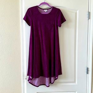 NWOT beautiful purple floral design lularoe carly dress.